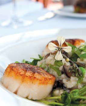 Porcini-dusted and seared sea scallops
