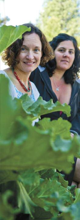 Community-Gardens-Cultivating-Wellness