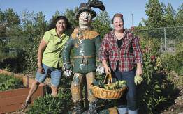 Community-Gardens-Paradise-Park2