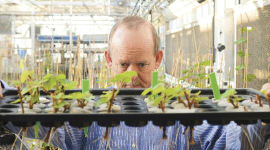 Drinkable-reno-tahoe-wine-science