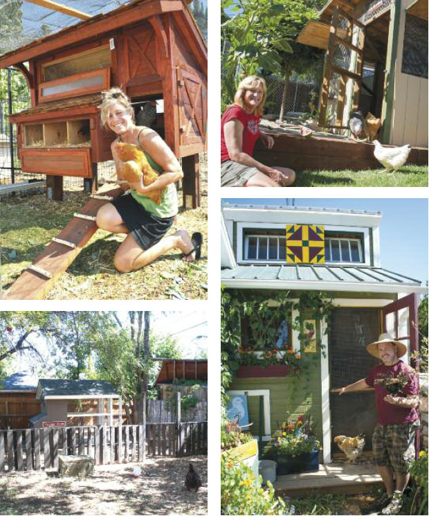 Edible-Endeavors-Cool-Coops2