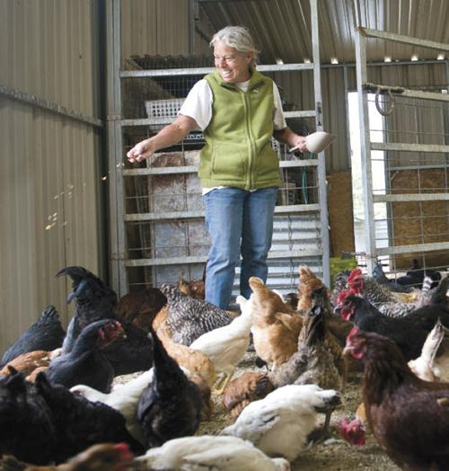 Edible-Endeavors-Pasture-Raised-2