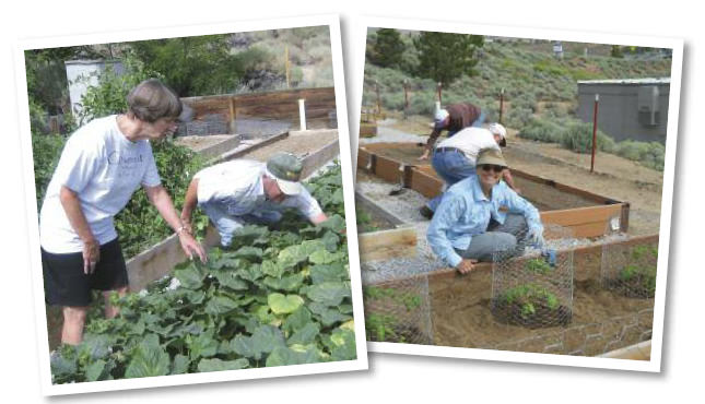 Edible-Notable-Grow-A-Row