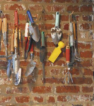 Edible-Notables-7-Grow-Own