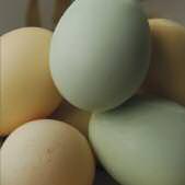 Edible-Notables-Real-Cost-5