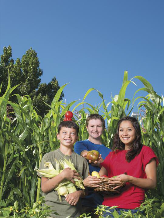 Edible-School-Yards1
