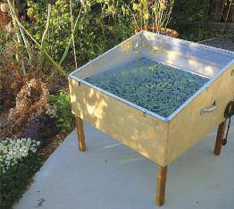 Edible-notables-Fall-Preserve2