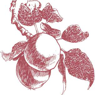 Featue-Eat-It-To-Save-It