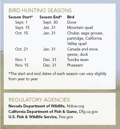 Bird Hunting Seasons
