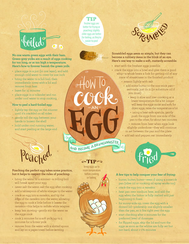 Spring 2016 · How to Cook an Egg