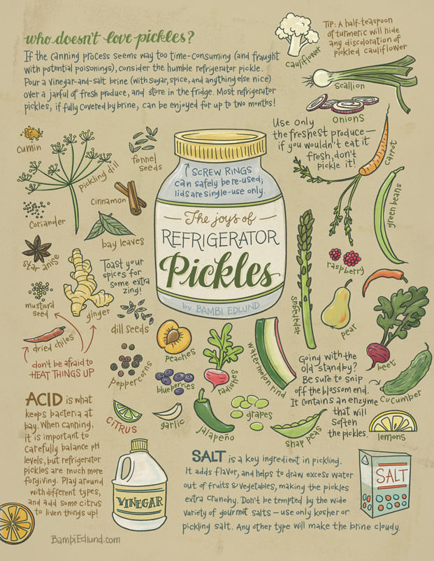 Fall 2015 · The Joys of Refrigerator Pickles