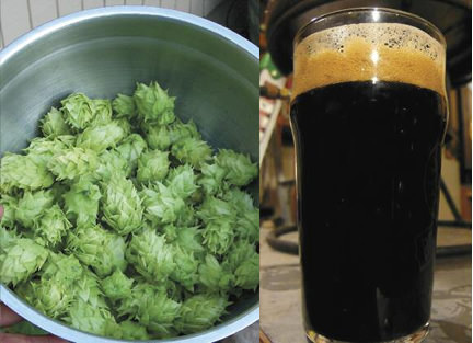 Liquid-Assets-Beer-Crew-Collage