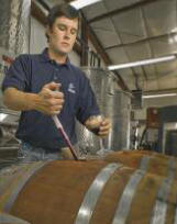 Liquid-Asstes-Desert-Vine