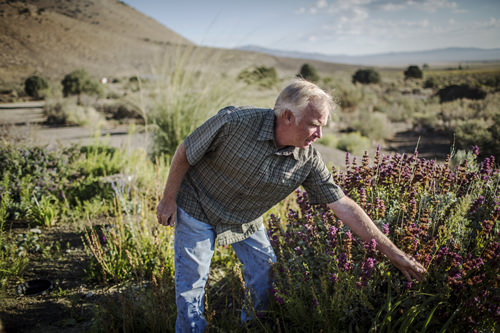 NevadasOwn JKingham 006