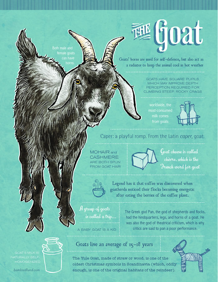 Spring 2014 · The Goat