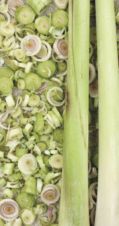 chicken-coconut-soup