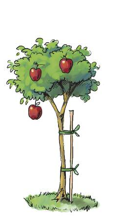 cover-30-ways-4-tree-stint