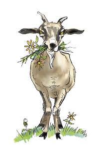 cover-30-ways-5-goat