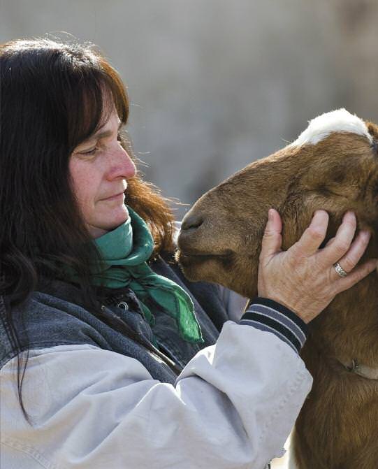 cover-kidding-around-goat-meat-1