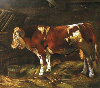 cover-resources-locally-meat