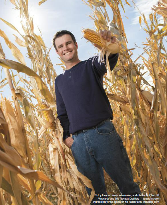 cover-spirited-revolution-1