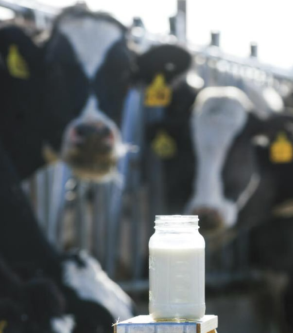 drinable-renotahoe-raw-milk-1