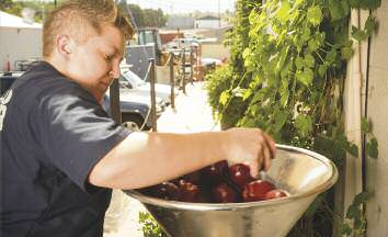 drinkable-fall-press-2