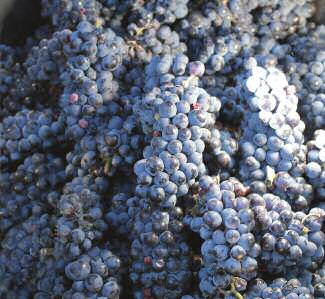 drinkable-wine-science-2