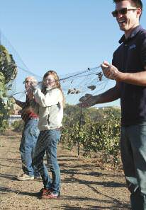 drinkable-wine-science-3