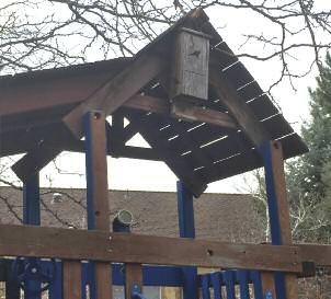 edible garden batbox