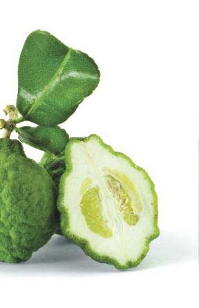 edible-garden-growing-exotics