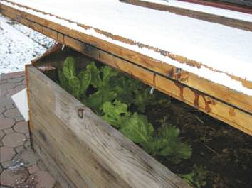 edible-notables-freeze-frame