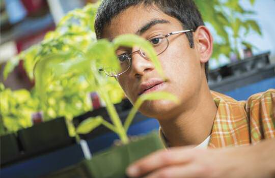 edible-notables-good-habits-2