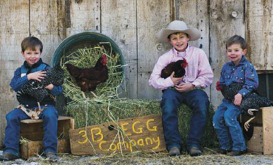 edible-notables-nest-egg1