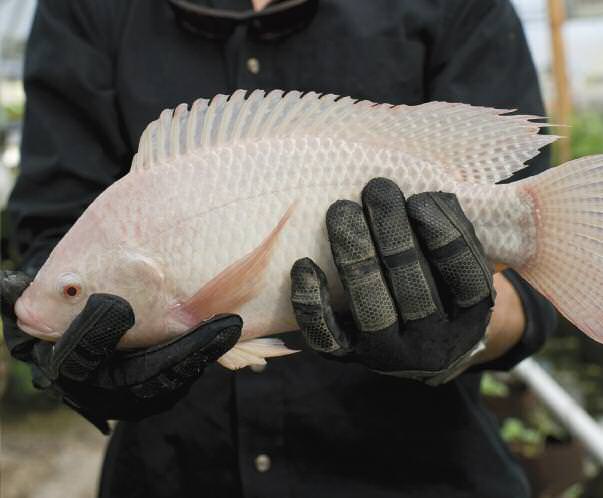 feature-full-circle-1