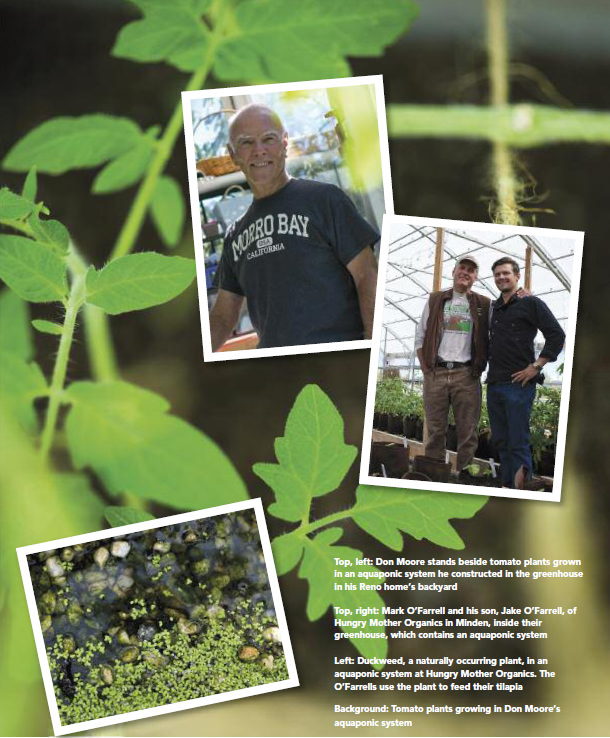 feature-full-circle-2