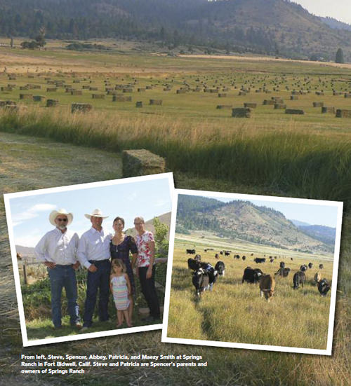 feature-grazing-for-change