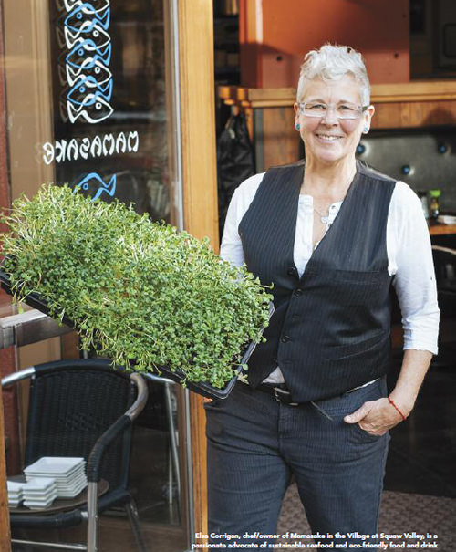 feature-green-minded-1