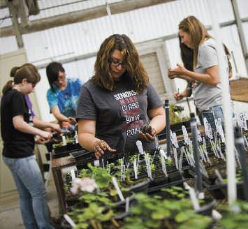 feature-greenhouse-education-2