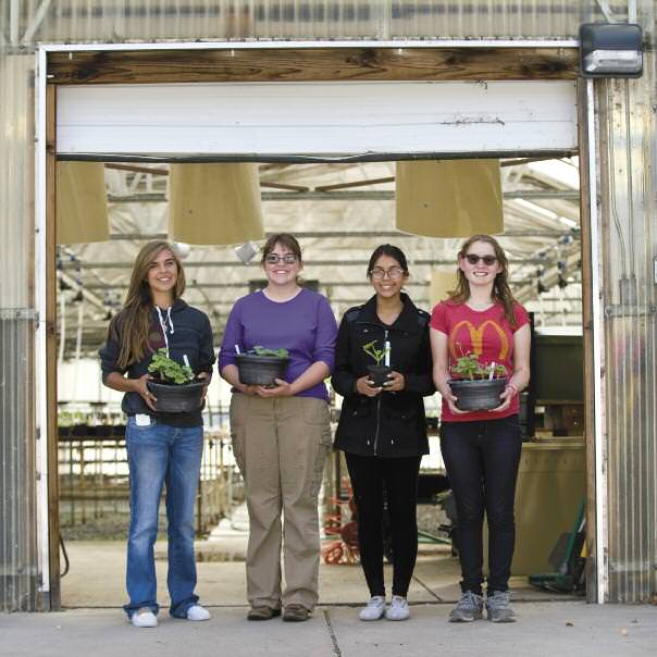 feature-greenhouse-education