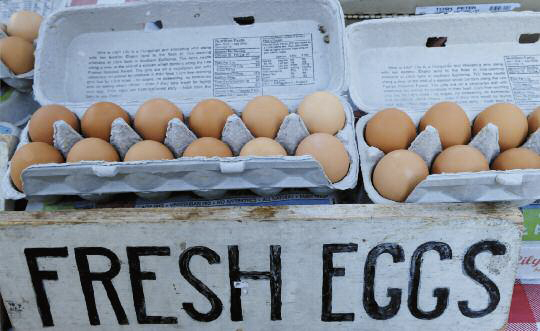 fresheggs