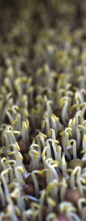 meet-farmer-good-checmistry-2