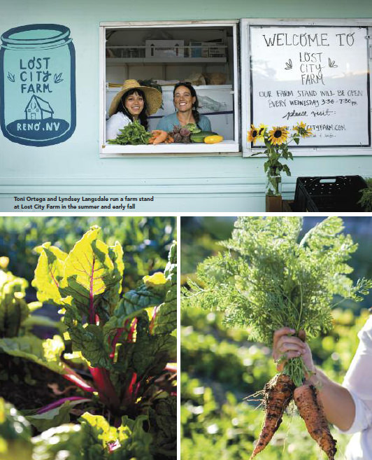 meet-farmer-urban-jungle-2