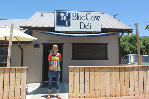 nevadacounty-bluecow