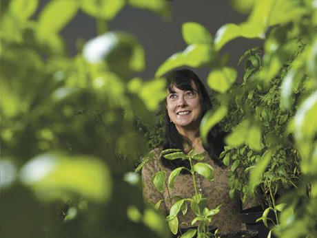 Edible-Notables-Herb