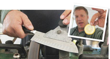 Edible-Notables-Shapr-Main