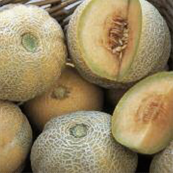 melon