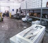 Edible Updates Sierra Metas