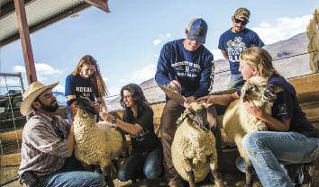 Edible updates wolfpack