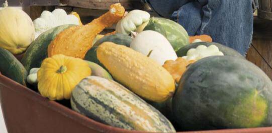 cover culinary caring 2